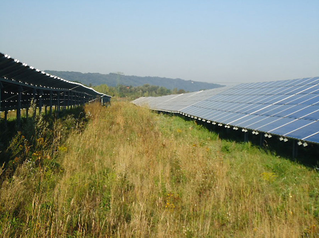 [Translate to Englisch:] 3,3 MW Freiland PV Kraftwerk